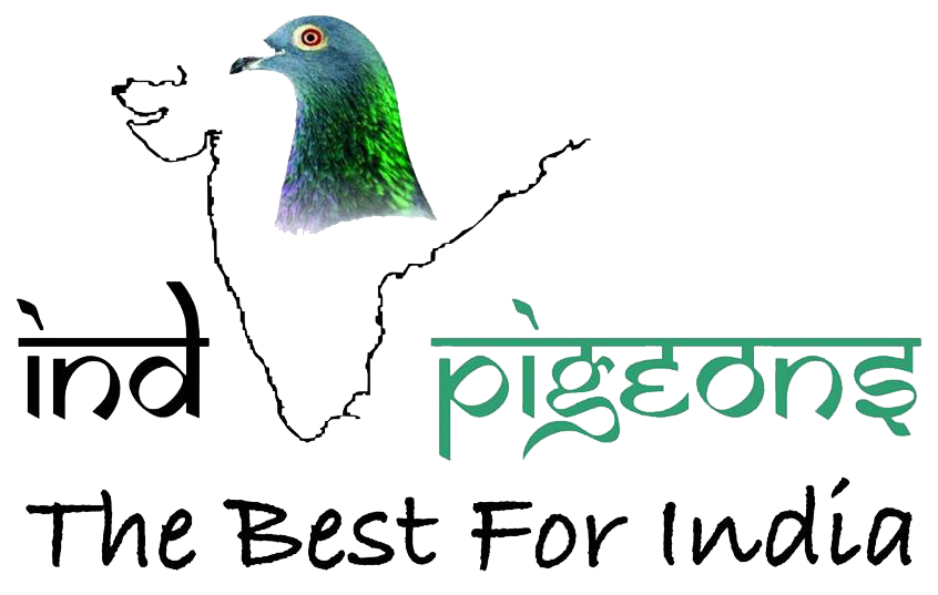 IND PIGEONS SOCIETY